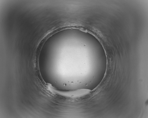 X0000073511165200608140926