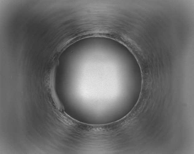 X0000073511169200608140926