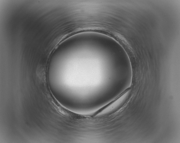 X0000073511177200608140926