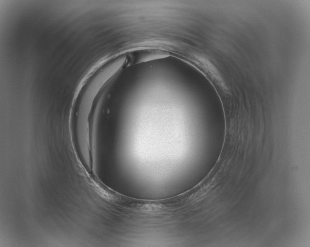 X0000073511180200608140926