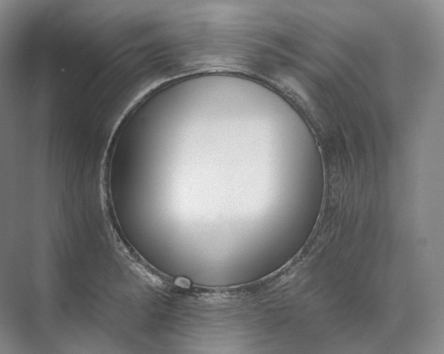 X0000073511182200608140926