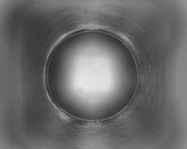 X0000073511183200608140926