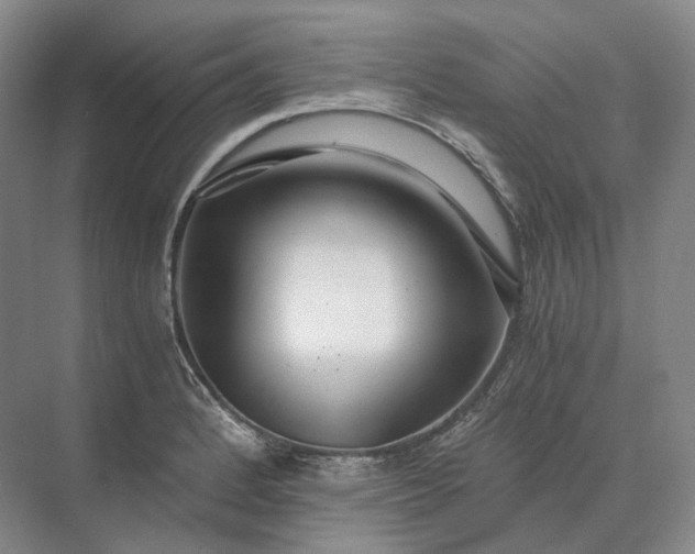 X0000073511184200608140926