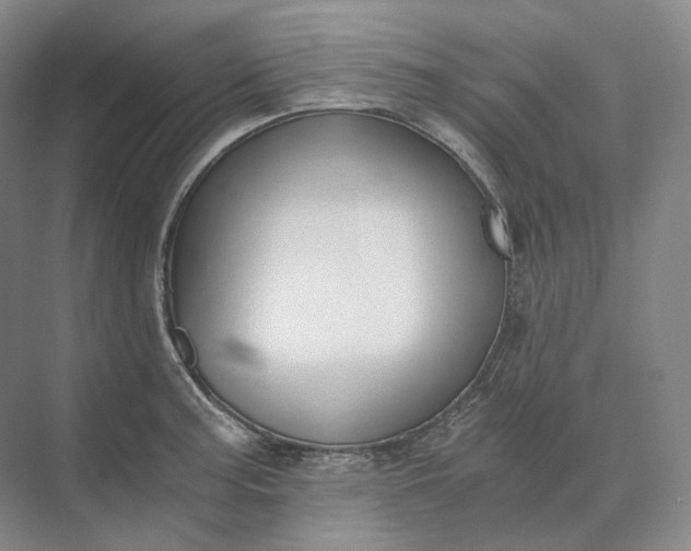 X0000073511187200608140926