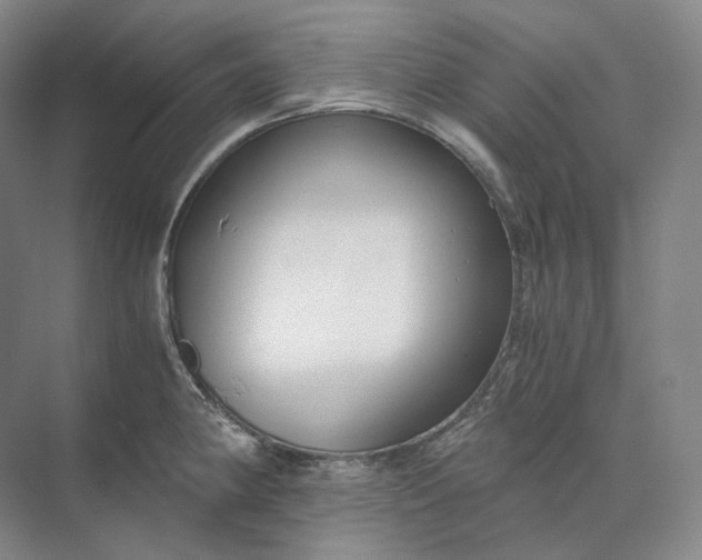 X0000073511190200608140926