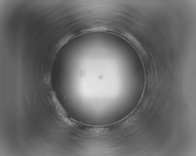 X0000073511193200608140926