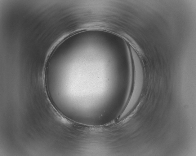 X0000073511196200608140926