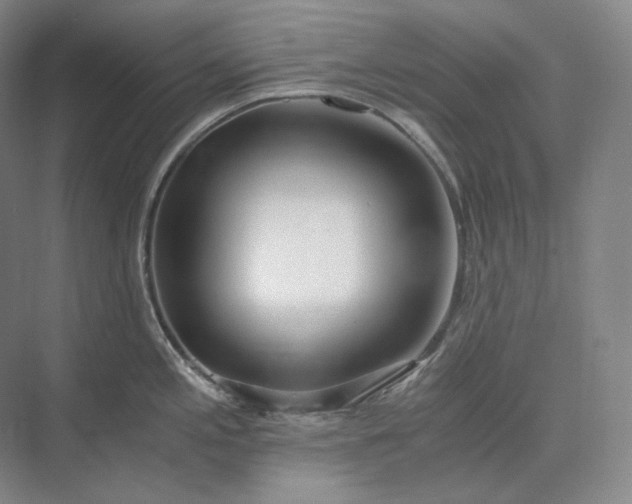 X0000073511197200608140926