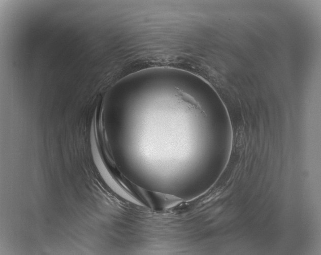 X0000073511202200608140925