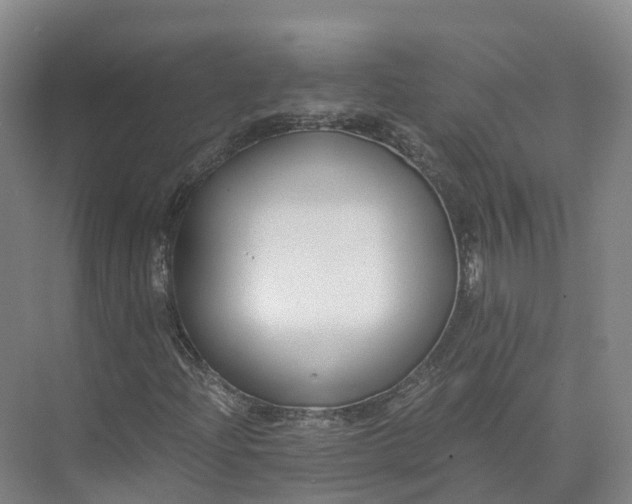 X0000073511204200608140925