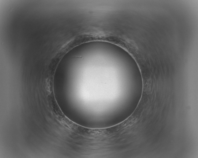 X0000073511205200608140925