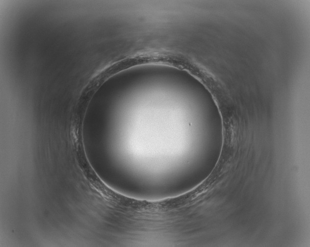 X0000073511206200608140925