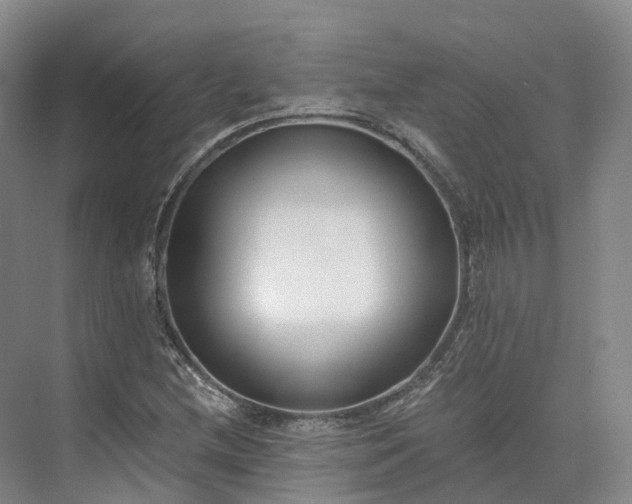 X0000073511212200608140925