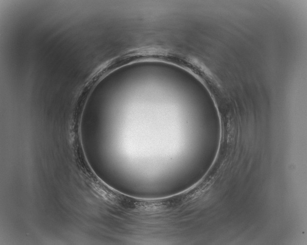 X0000073511213200608140925