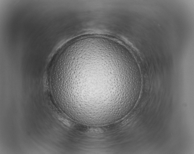 X0000073511215200608140925