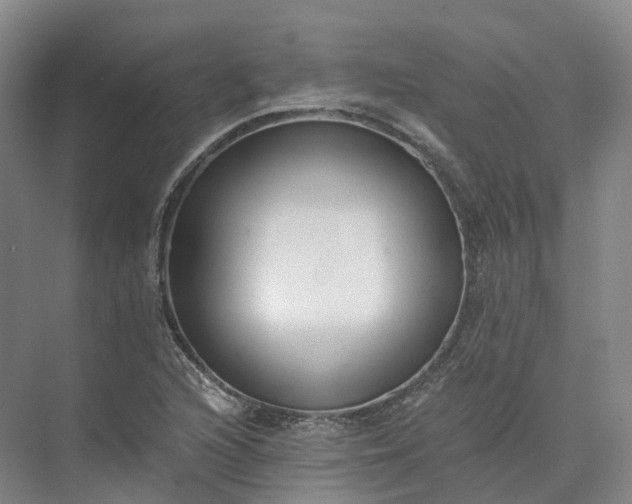 X0000073511216200608140925