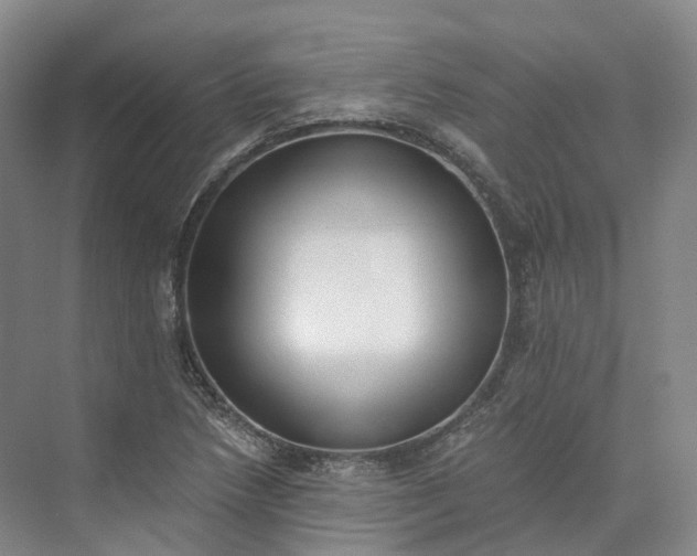 X0000073511218200608140925
