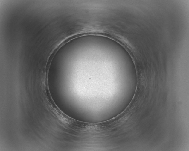 X0000073511220200608140925