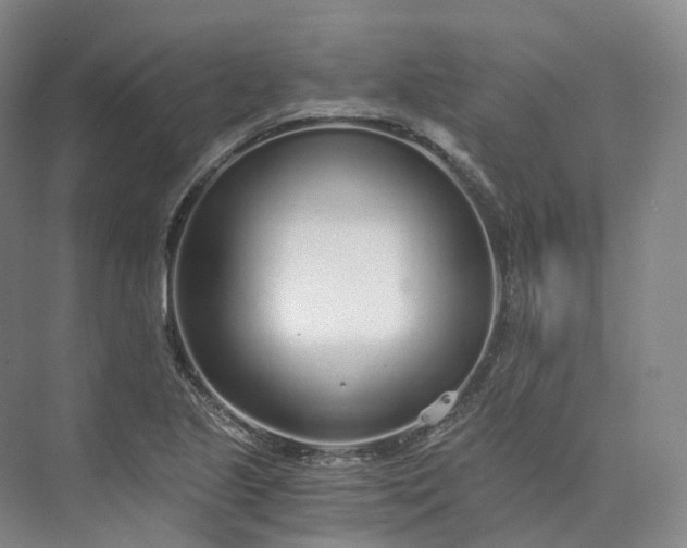 X0000073511221200608140925