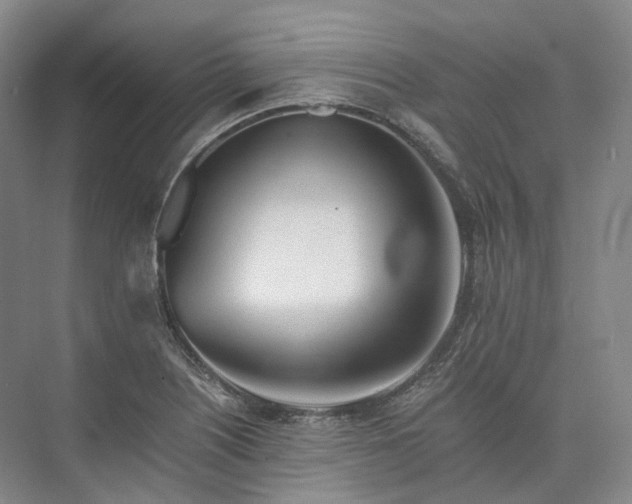 X0000073511226200608140925