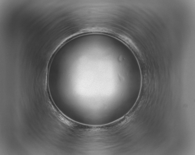 X0000073511228200608140926