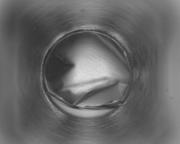 X0000073511229200608140926