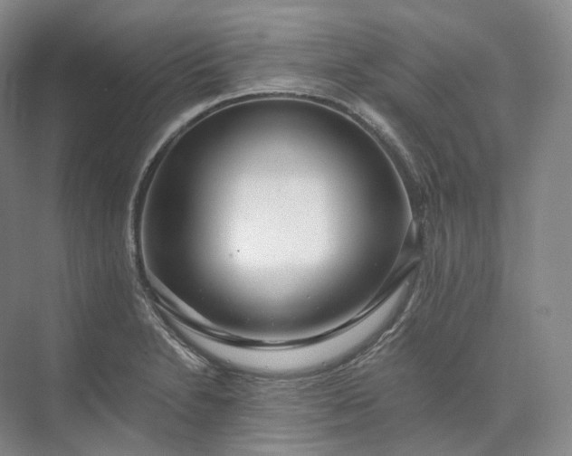 X0000073511230200608140926