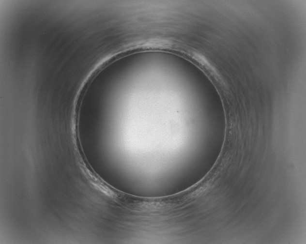 X0000073511232200608140926