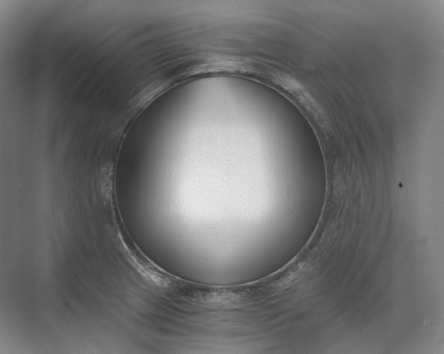 X0000073511233200608140926