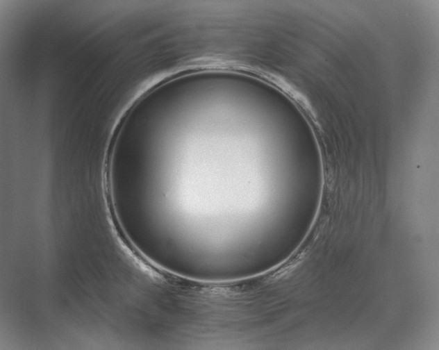 X0000073511239200608140926