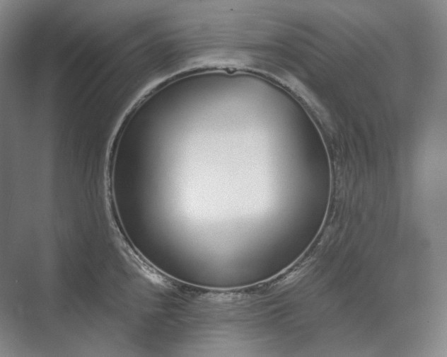 X0000073511240200608140926