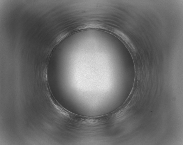 X0000073511241200608140926