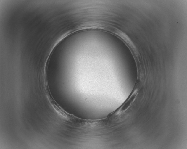 X0000073511242200608140926