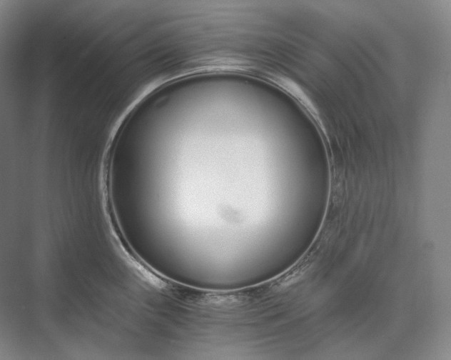 X0000073511243200608140926