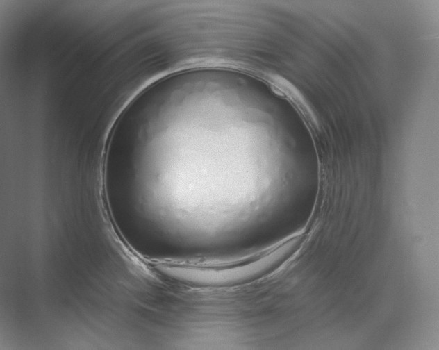 X0000073511244200608140926