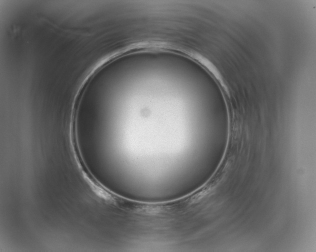X0000073511245200608140926
