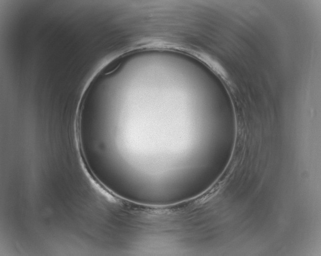 X0000073511247200608140926