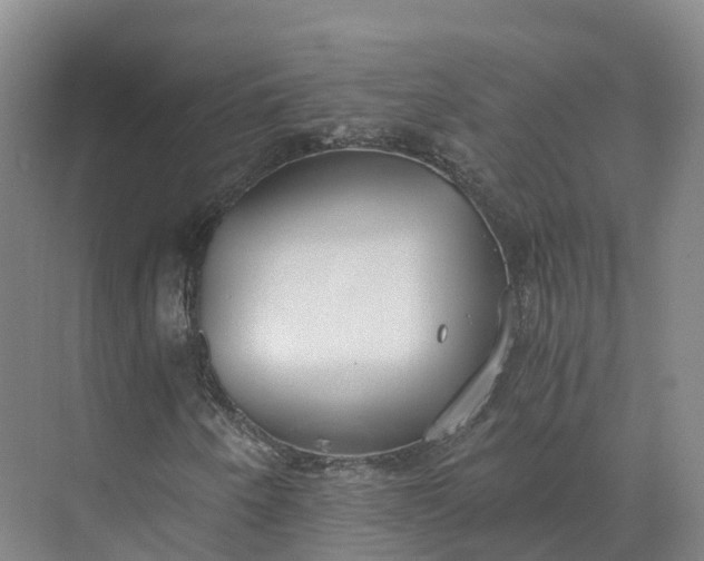 X0000073511250200608140925