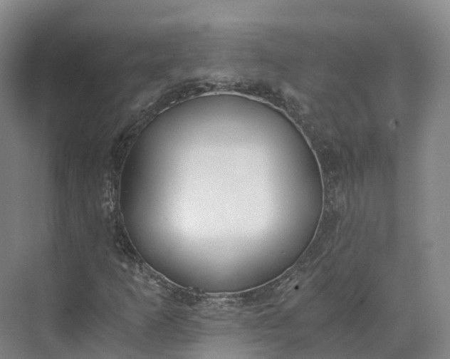 X0000073511253200608140925