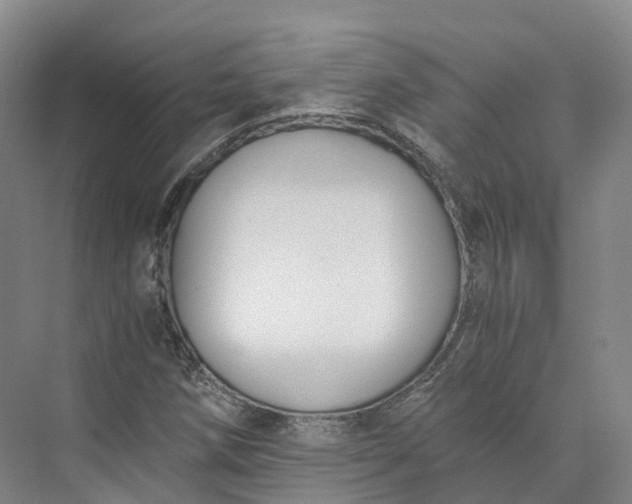 X0000073511258200608140925