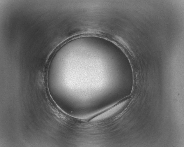 X0000073511260200608140925