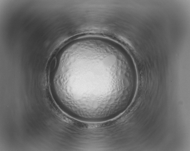 X0000073511267200608140925