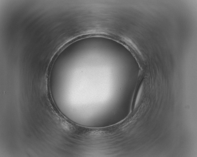 X0000073511268200608140925
