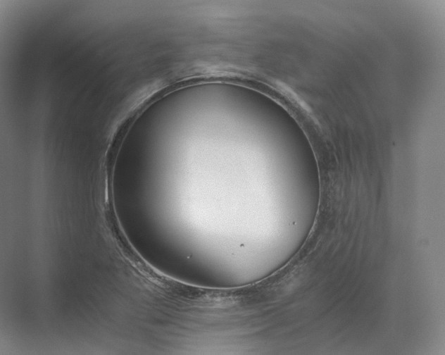 X0000073511269200608140925
