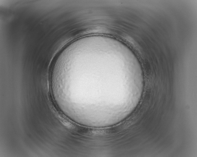 X0000073511274200608140925