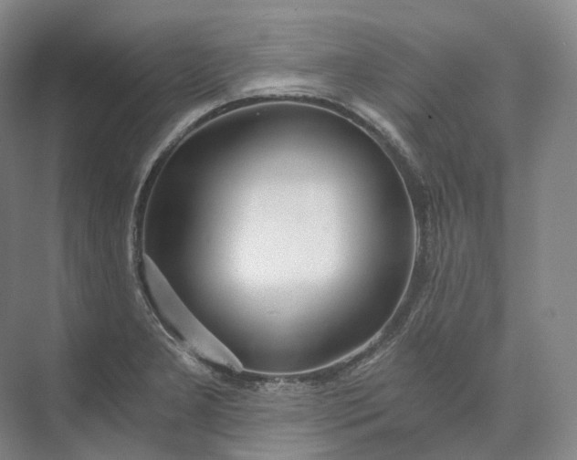 X0000073511277200608140925