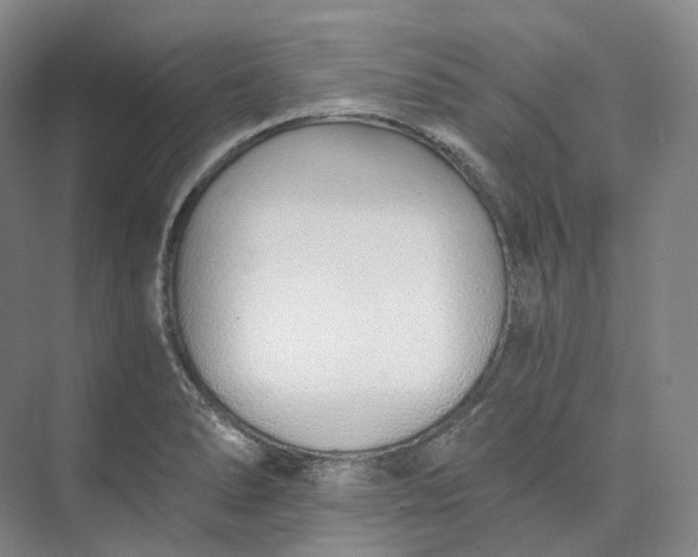 X0000073511278200608140925