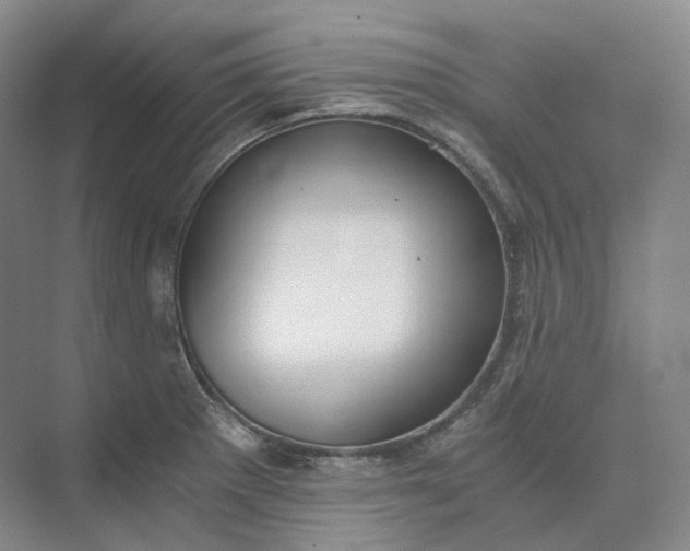 X0000073511281200608140924