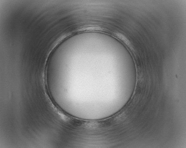 X0000073511282200608140924
