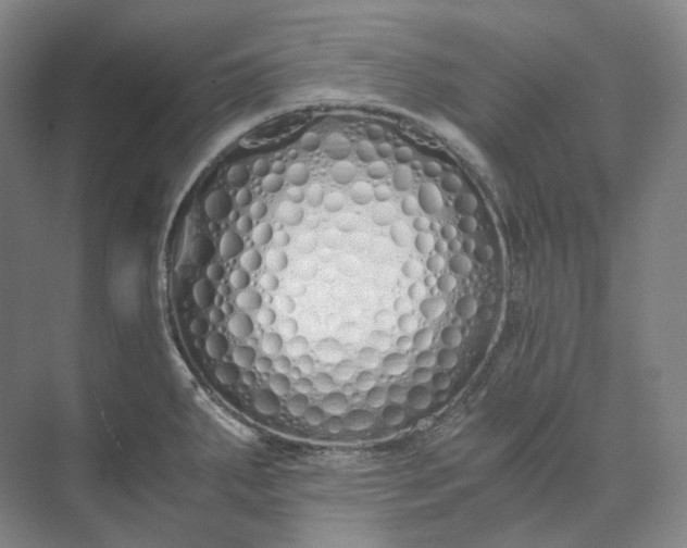 X0000073511287200608140924